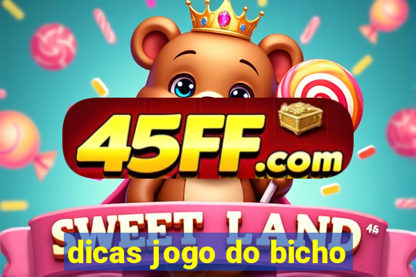 dicas jogo do bicho